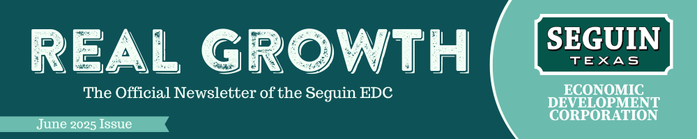 Newsletter Banner 2-3